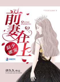 陆少蜜宠:前妻在上
